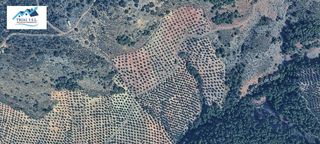 Terreny residencial  Cambil. Venta de terreno en cambil jaén