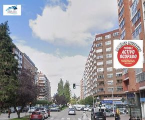 Pis a Calle DE LOS DERECHOS HUMANOS