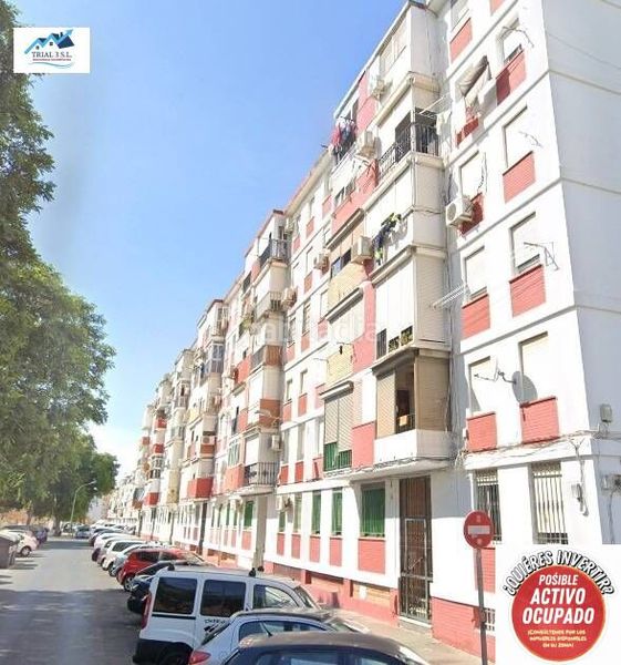 Foto e2af75fc-bf72-46e6-b1fc-81f3c9bb9ec0. Pis a El Carmen - Cardeñas Huelva