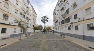 Pis a Calle ANTONIO RENGEL