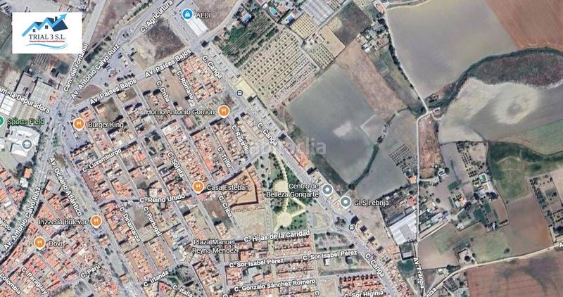 Foto 7cf93ce7-65a8-432d-bc1f-803ea47fe5e4. Pis a Lebrija