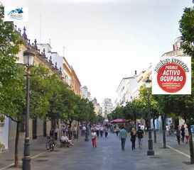 Pis a Calle Larga