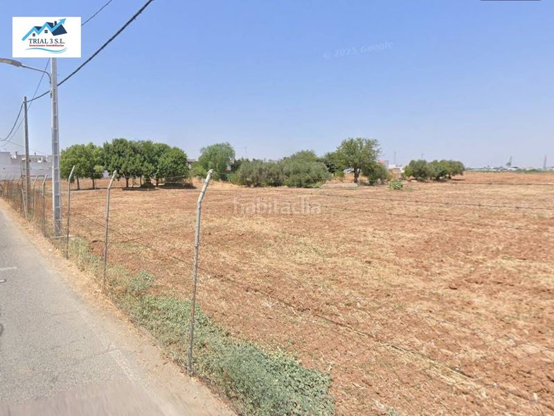 Foto 1b6f74bf-911e-41b7-8c4b-60b5d2f53c6f. Finca rústica a Valdezorras - El Gordillo Sevilla