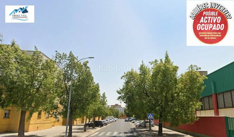 Foto 57c86d79-ad14-4ff8-bfc9-7d06599ff428. Pis a La Oliva Sevilla
