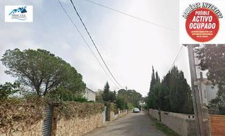Apartament a Carrer de Gladiol