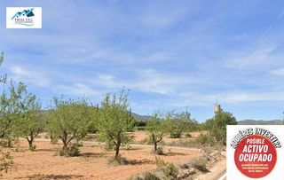 Finca rústica  Polígono polígono 3 parcela 388 clocha perlita. Venta de terreno rústico en cheste valencia