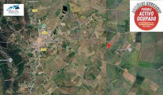 Finca rústica  Sierra de fuentes. Venta de 3 fincas rusticas en cáceres