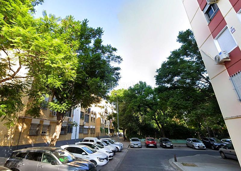 Foto e0d14644-ae4d-4910-903f-8ded7d709b3d. Pis a La Oliva Sevilla