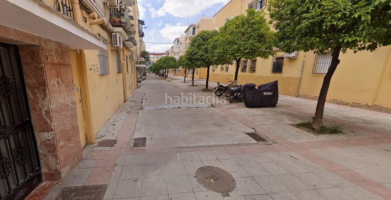Foto 939f7375-4042-4681-93a3-4926e16d6eb6. Pis a Cruz Roja Sevilla