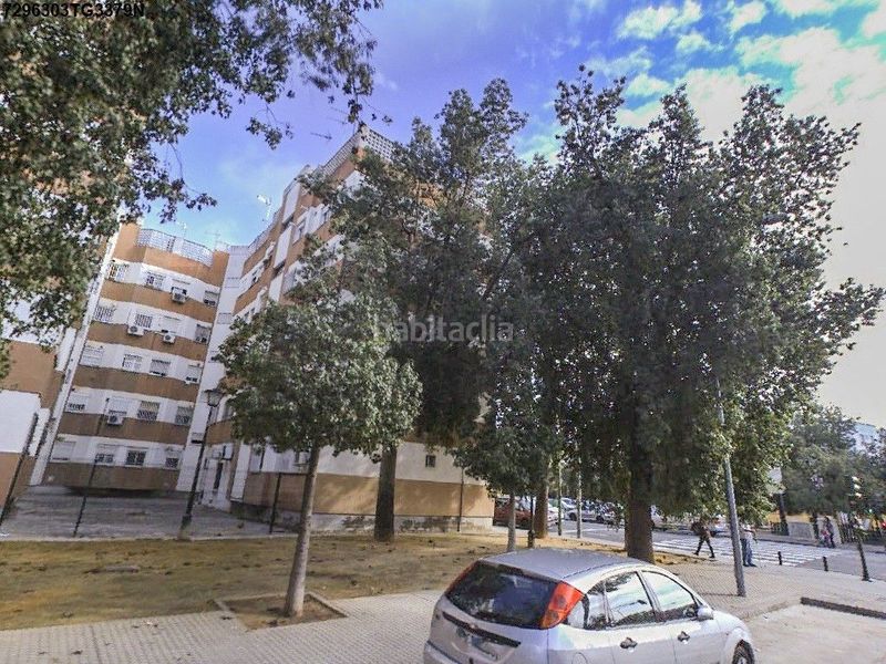 Foto fd221b4d-16be-4bbb-bb1d-1832e248b54a. Pis a La Oliva Sevilla