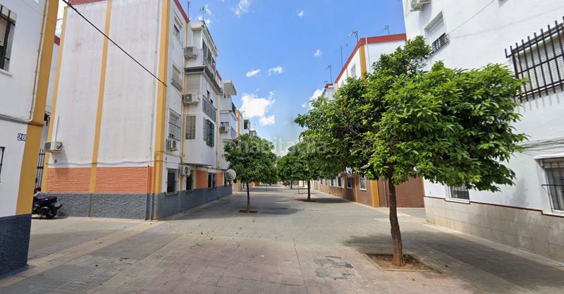 Foto 9305b6dd-4896-48ce-a89f-56e86f667f66. Pis a Cruz Roja Sevilla