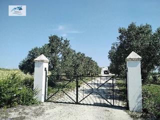 Finca rústica a Carretera de Sanlúcar - Sudamérica. Venta parcela en el puerto de santa maría cádiz