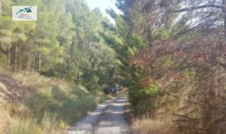 Propriété  Plaza de polígono orippo. Venta lote de 5 parcelas con terreno agrario en querol  tarragon