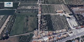 Maison à Calle sol naciente 14. Venta casa en almoradí alicante