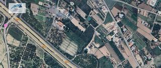 House  Polígono polígono 59 parcela 44 campico. cehegin (murcia). Venta casa en cehegin  murcia