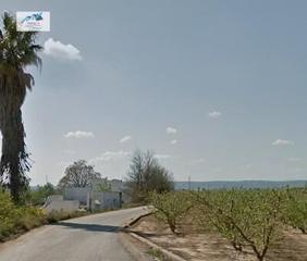 Finca rústica  Polígono poligono   21. Venta terreno rural en guadassuar  valencia