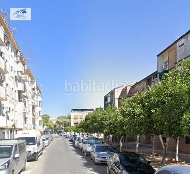 Foto 386deaab-8cb1-4702-9525-1334b14b254c. Pis a Montilla