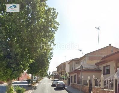 Foto c45d499c-57ef-48b0-91d9-e9f9adde3531. Pis a Láchar