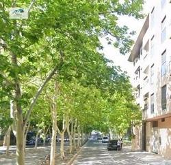 Flat  Avenida ayora. Venta piso en almansa albacete