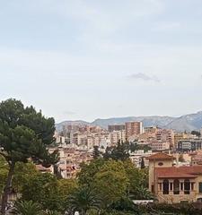 Appartamento in Son Armadams