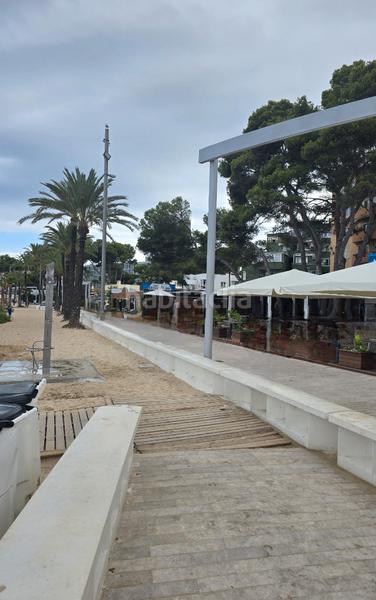 Foto 107026cb-dbfc-4911-8a88-436c233704b2. Pis a avinguda Magaluf 10 a Magaluf Calvià