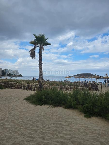 Foto 20f94984-c211-4cbd-aaf9-21c0c0249b5c. Pis a avinguda Magaluf 10 a Magaluf Calvià