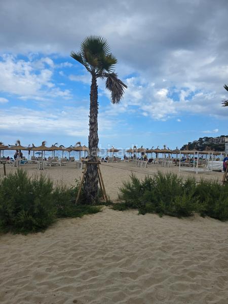Foto 54246406-c6db-4909-9859-d83f5628796f. Pis a avinguda Magaluf 10 a Magaluf Calvià