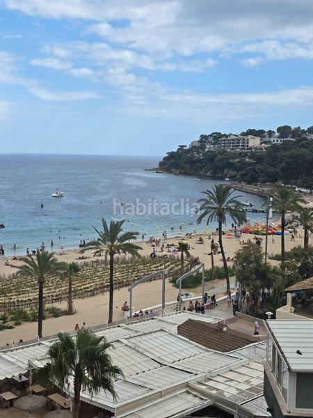 Foto 7c569a16-35bc-4ffc-9e73-24d067d2d6a3. Pis a avinguda Magaluf 10 a Magaluf Calvià