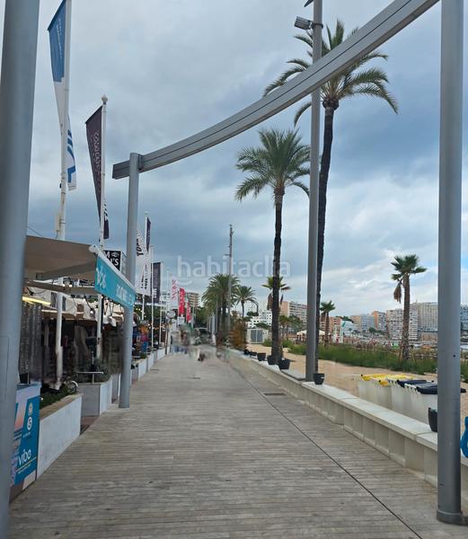 Foto c6062131-76c4-489d-970f-909f06c23afb. Pis a avinguda Magaluf 10 a Magaluf Calvià