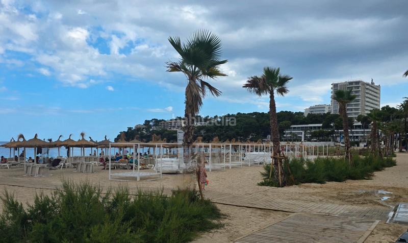 Foto e7f2b209-5dfa-4595-b174-516f7e134575. Pis a avinguda Magaluf 10 a Magaluf Calvià
