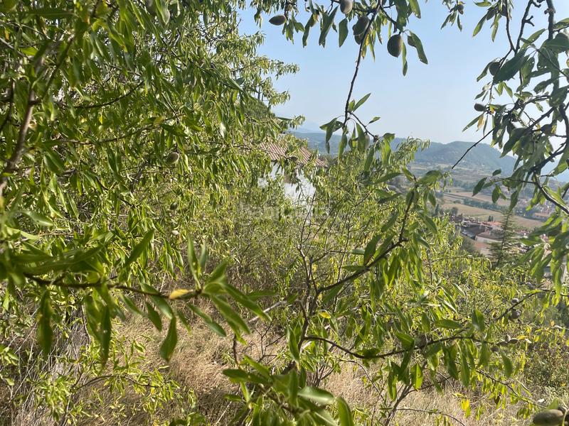 Foto 845cd908-fd5b-42fb-b9c1-283558b8231b. Residential plot in Solsona