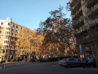 Miete Etagenwohnung in Carrer de còrsega 445. Muy céntrico y con terraza