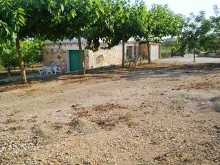 Wohngrundstück in Pobla de Montornès (La). Finca agricola terreno llano