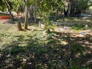 Terrain rsidentiel dans Pobla de Montorns (La)