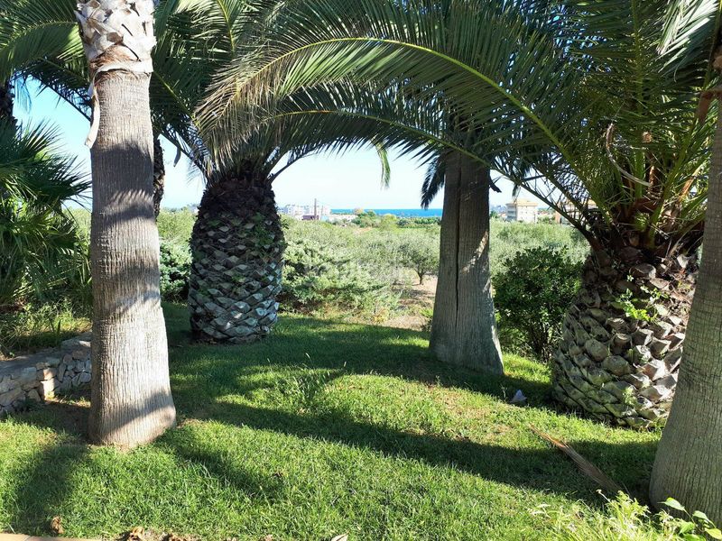 Foto f0378710-15a1-4acd-a57b-0b7bd5ce7ea1. Xalet amb xemeneia calefacció aparcament piscina a Torredembarra