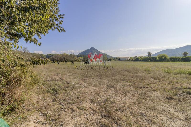 Foto 169ab088-591f-4e46-8531-ea819373157e. Terreno residencial terreno rústico en alcudia, mallorca, illes balears en Alcúdia