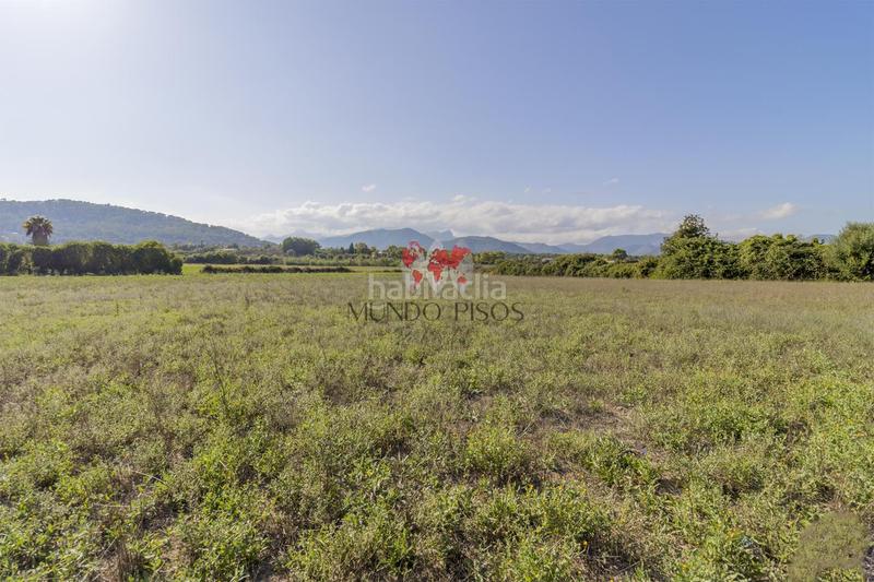 Foto 34dca9a0-fd8e-4596-a503-3f81387f98a6. Terreno residencial terreno rústico en alcudia, mallorca, illes balears en Alcúdia