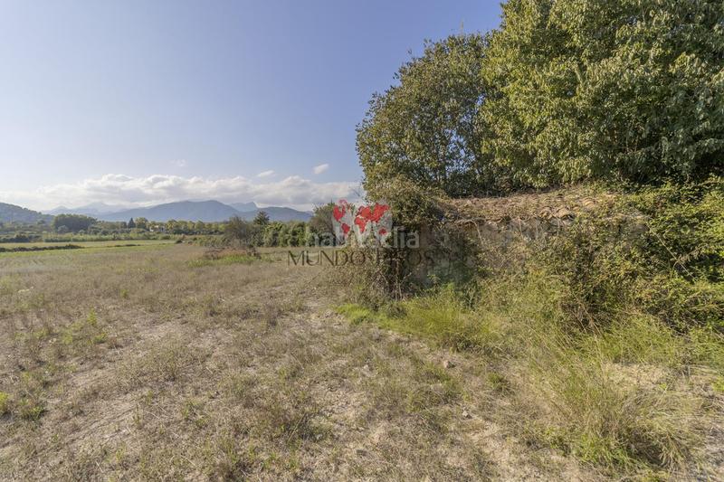 Foto 36a247fb-7634-4ca5-90da-7686da2d6ccf. Terreno residencial terreno rústico en alcudia, mallorca, illes balears en Alcúdia