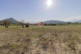 Terreny residencial a Ciutat d´Alcúdia. Terreno rústico en alcudia, mallorca, illes balears