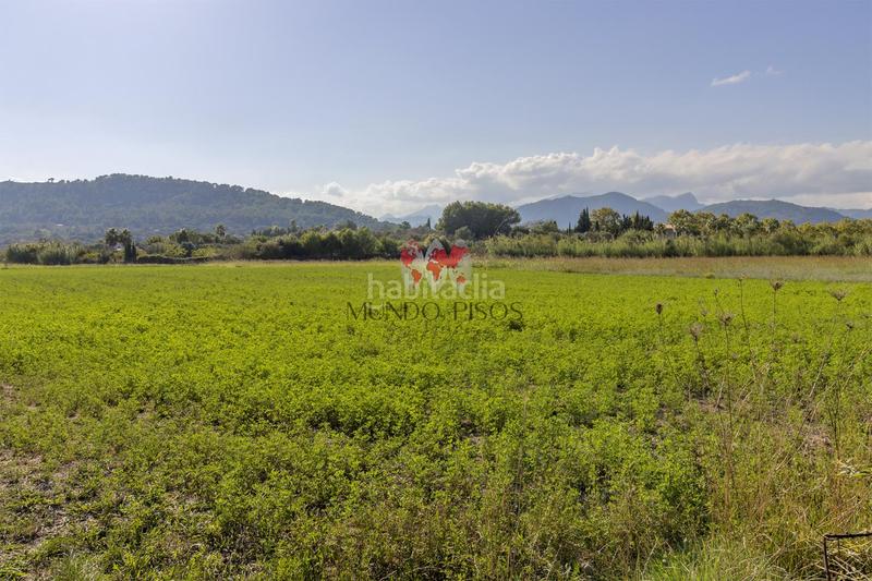 Foto 78c5df84-2f01-41fa-9194-8d6bdd58ae6a. Terreno residencial terreno rústico en alcudia, mallorca, illes balears en Alcúdia