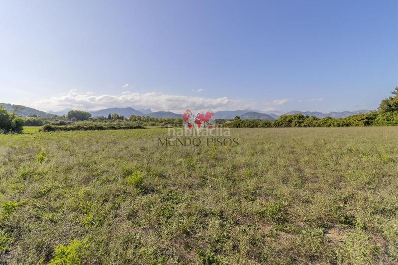 Foto 9a9f8bb4-ee72-4d90-9784-150ba529db76. Terreno residencial terreno rústico en alcudia, mallorca, illes balears en Alcúdia