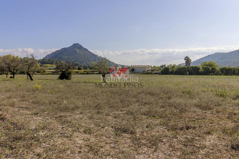 Foto c665d1b5-ec69-488e-80e3-146fabaf26c7. Terreno residencial terreno rústico en alcudia, mallorca, illes balears en Alcúdia