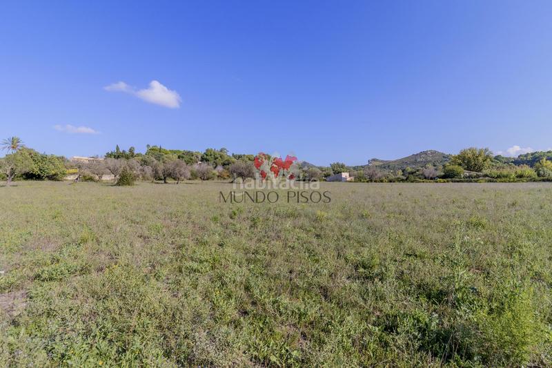 Foto ceeef0e4-a7bb-4671-a2a6-545d1333a2fa. Terreno residencial terreno rústico en alcudia, mallorca, illes balears en Alcúdia