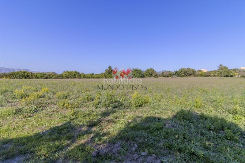 Foto d8d345e2-08ea-4a2d-81f6-9b7df66c9eb7. Terreno residencial terreno rústico en alcudia, mallorca, illes balears en Alcúdia