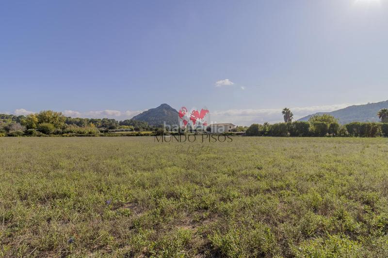 Foto e947eee5-7dfc-42a7-b1dc-741d482e39ea. Terreno residencial terreno rústico en alcudia, mallorca, illes balears en Alcúdia