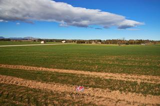 Residential Plot  Ma-3340. Terreno urbanizable en maria de la salut, mallorca, illes balear