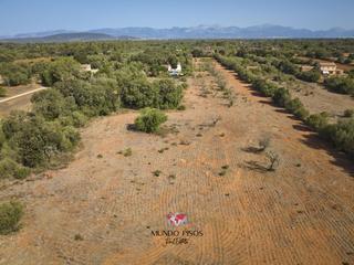Terreny residencial  Diseminado es rafalet, polígono 5, parcelas 91, 90 y 364. Terreno edificable en algaida, mallorca, illes balears
