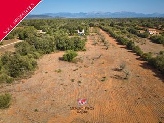 Terrain résidentiel  Diseminado es rafalet, polígono 5, parcelas 91, 90 y 364. Terreno edificable en algaida, mallorca, illes balears