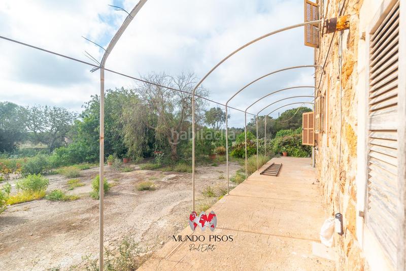 Foto 2cd18067-a18a-4924-bbc2-c5908d98342c. Masía espectacular finca rústica con vistas al campo , mallorca, islas baleares en Santanyí