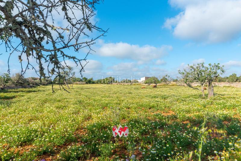 Foto 7ea18482-426b-47ab-9129-85a724404bdd. Masía espectacular finca rústica con vistas al campo , mallorca, islas baleares en Santanyí